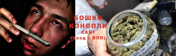 крисы Белоозёрский