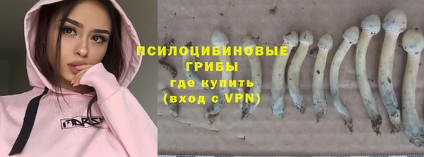 крисы Белоозёрский
