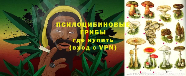 крисы Белоозёрский