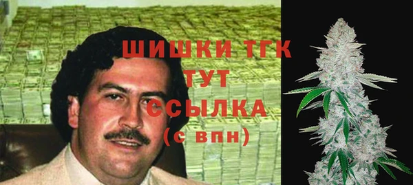 крисы Белоозёрский
