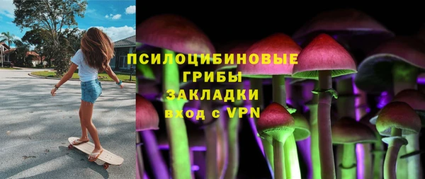 крисы Белоозёрский